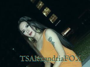 TSAlexandriaFOX
