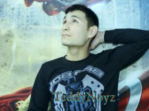 TeddyNoyz