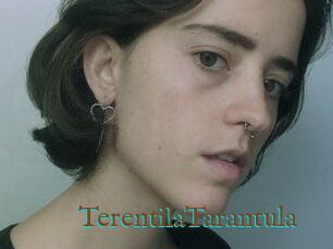 TerentilaTarantula