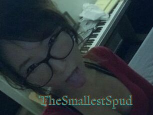 TheSmallestSpud