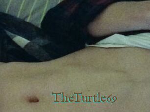 TheTurtle69