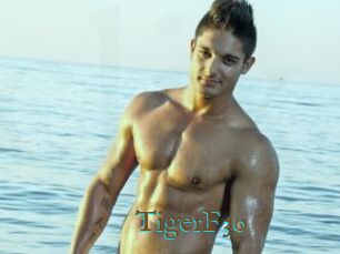TigerF30
