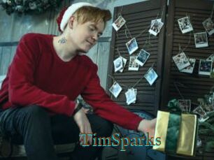 TimSparks