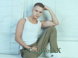 ToddYorkX