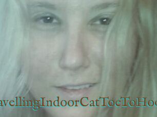 TravellingIndoorCatToeToHoe
