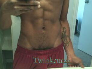 Twinkcut22