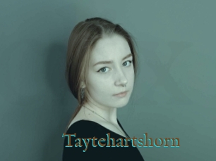 Taytehartshorn