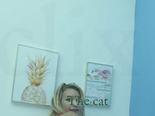 The_cat