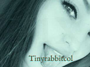 Tinyrabbitcol