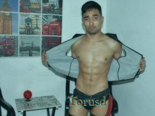 Torusd