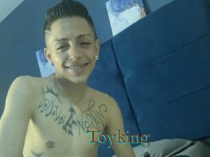Toyking