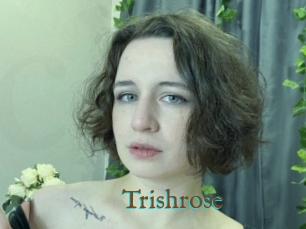 Trishrose