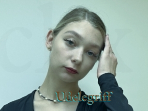 Udelegriff