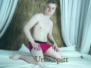 Urnicepitt