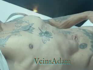 VeinsAdam