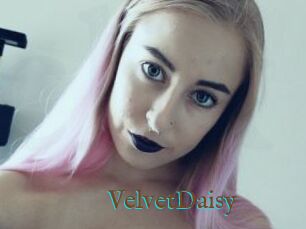 VelvetDaisy