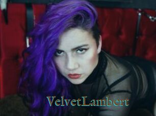 VelvetLambert