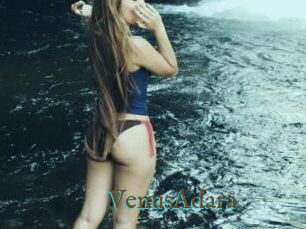 VenusAdara