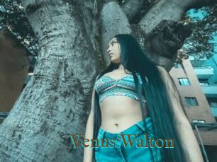 Venus_Walton