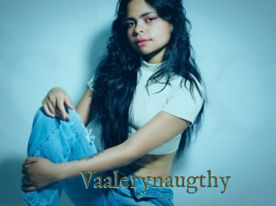 Vaalerynaugthy
