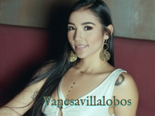 Vanesavillalobos