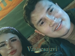 Vannesajavi