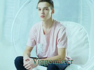 Viggomister