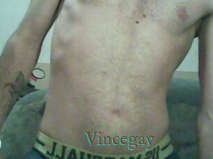 Vincegay