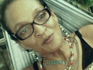 Vippussy