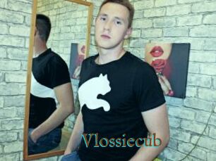 Vlossiecub
