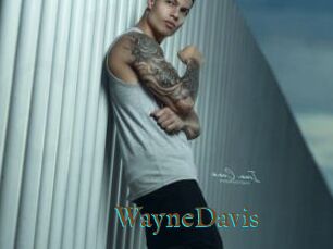 WayneDavis