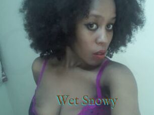 Wet_Snowy