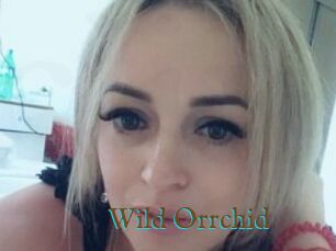 Wild_Orrchid