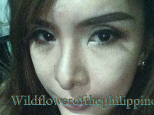 Wildflowerofthephilippines