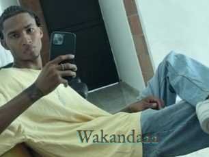Wakanda22