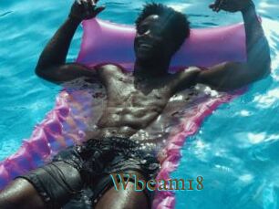 Wbeam18