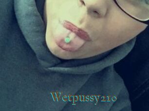 Wetpussy210