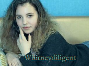Whitneydiligent