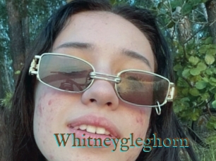Whitneygleghorn