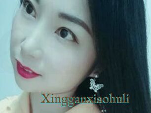 Xingganxiaohuli