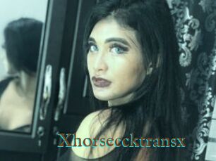 Xhorseccktransx