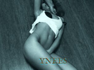 YNEES