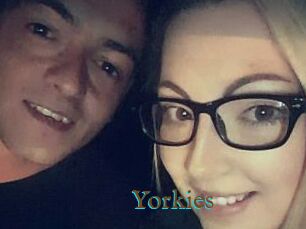 Yorkies