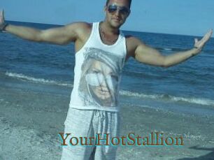 YourHotStallion