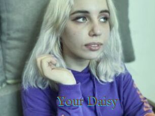 Your_Daisy