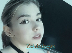 Zeldadrews